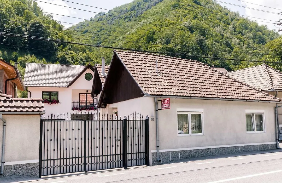 Vila Rodica Transalpina-1